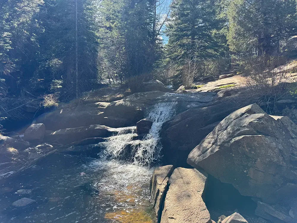 Small waterfall flowing over rocks into a pool, surrounded by large boulders and dense pine trees, creating the perfect spot to brainstorm or mediate while considering how to become a successful entrepreneur